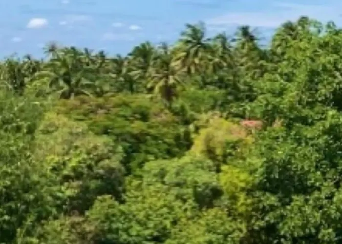 Resort Maikaew Damnoen
